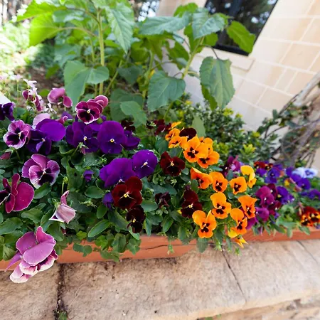 Modern & Lovely - Prime Location Apartment *