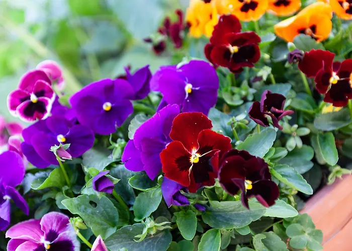 Daire Modern & Lovely - Prime Location