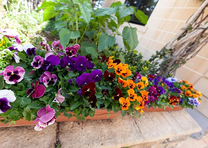 Modern & Lovely - Prime Location Daire *